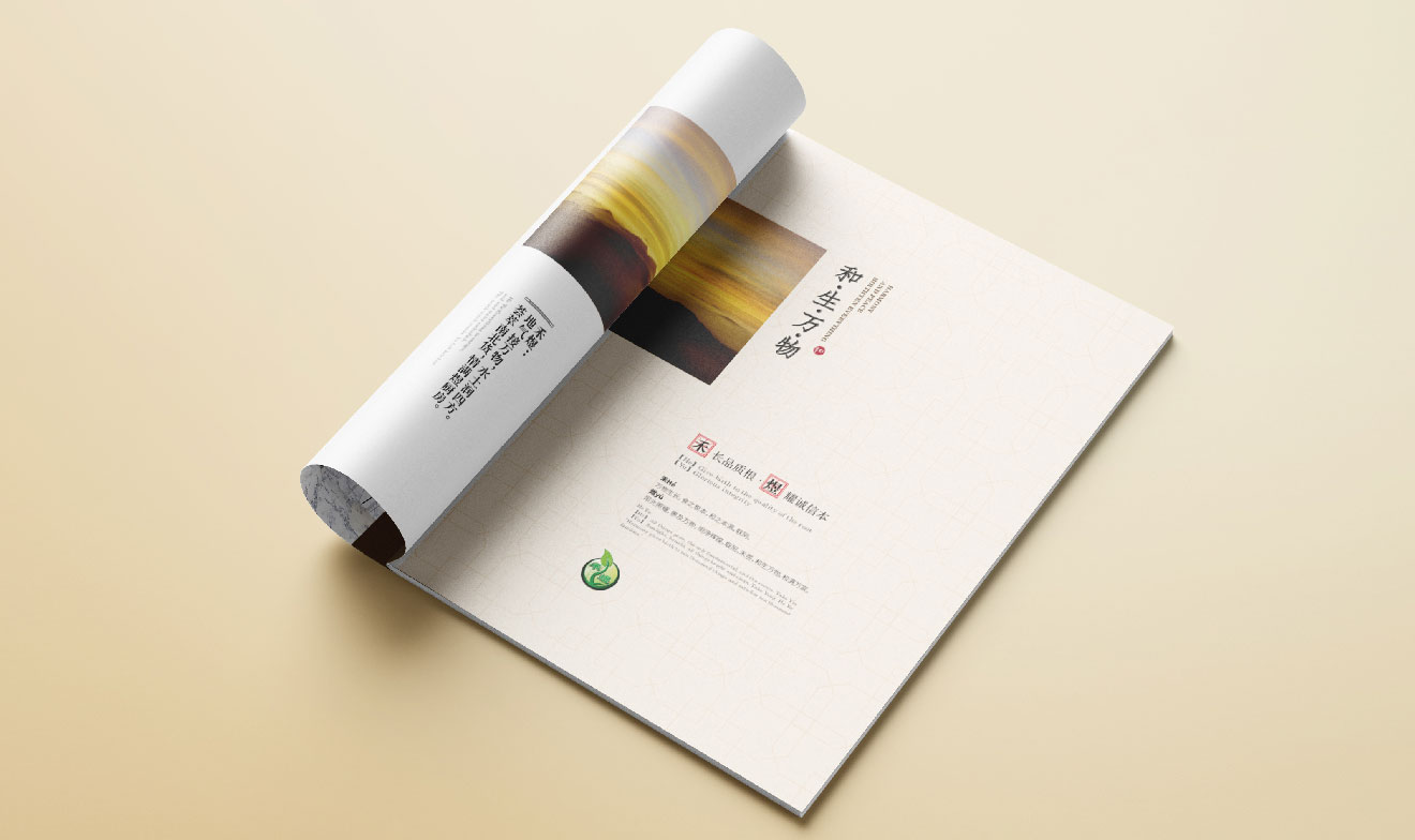 集團(tuán)宣傳冊(cè)設(shè)計(jì)