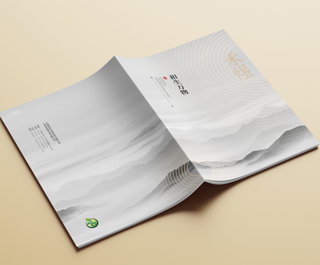 企業(yè)宣傳畫(huà)冊(cè)設(shè)計(jì),品牌畫(huà)冊(cè)設(shè)計(jì)