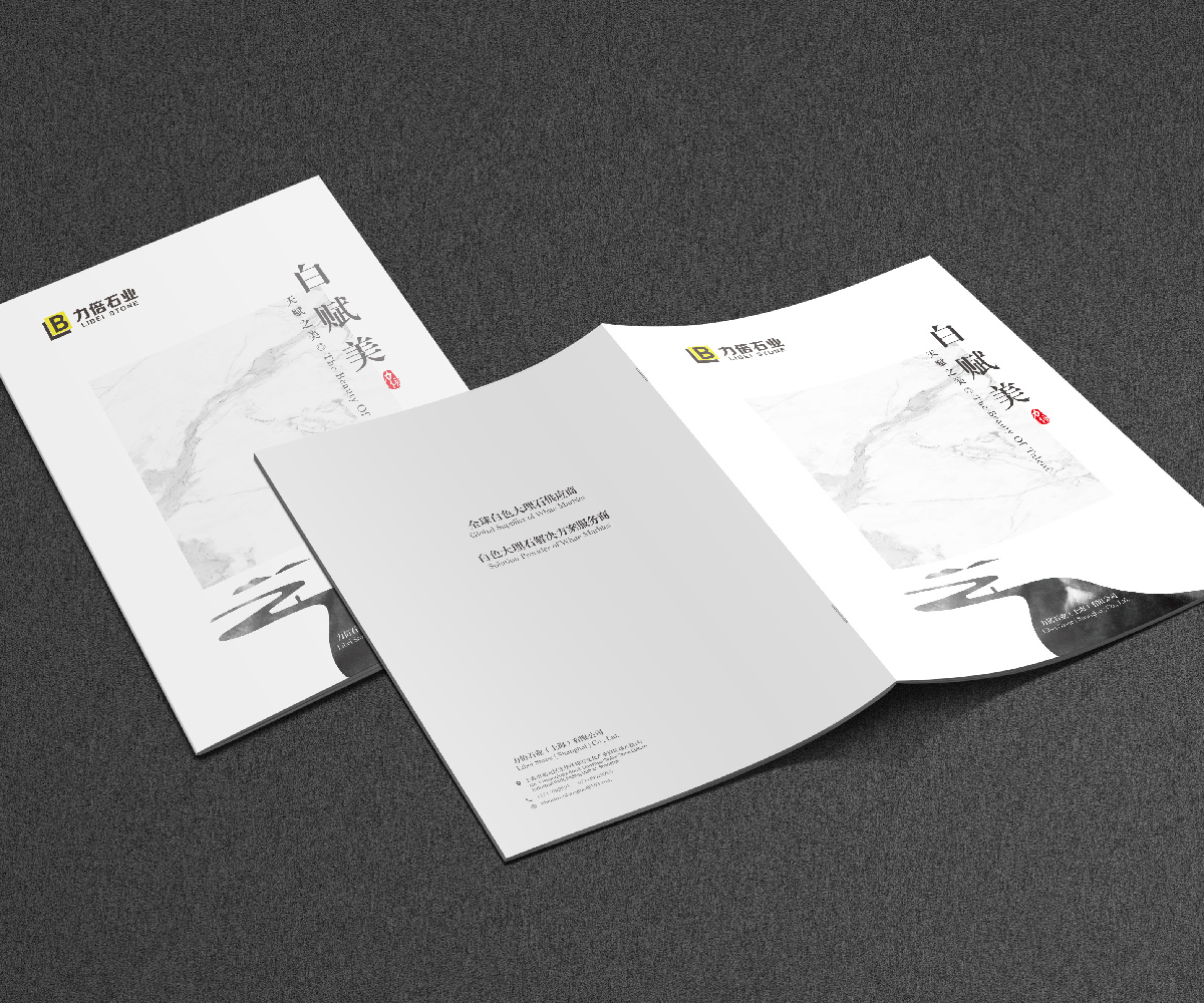 企業(yè)宣傳畫(huà)冊(cè)設(shè)計(jì),品牌畫(huà)冊(cè)設(shè)計(jì)